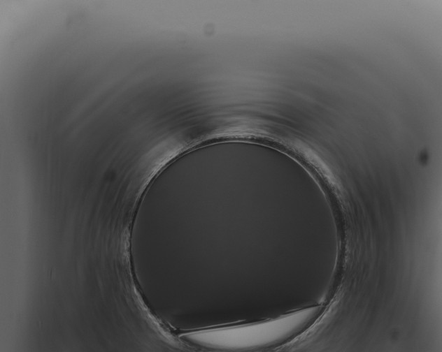 X0000097991329200804011759