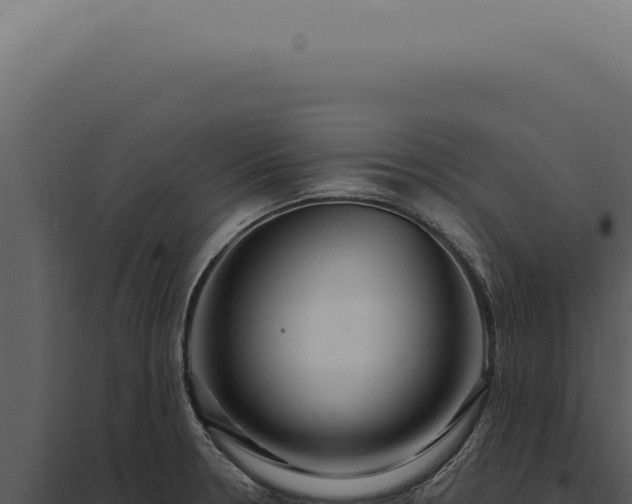 X0000097991330200804011759