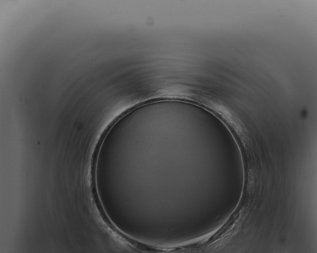 X0000097991331200804011759