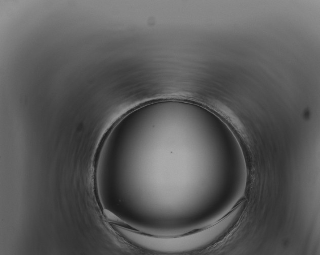 X0000097991332200804011759