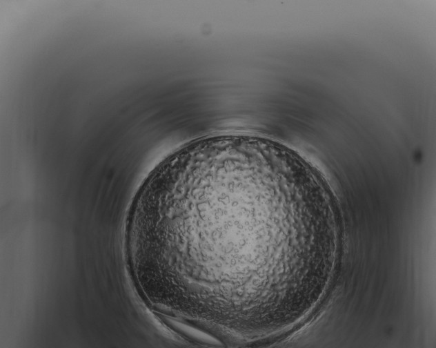 X0000097991333200804011759