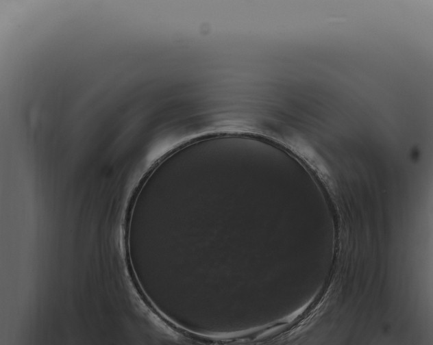 X0000097991334200804011759