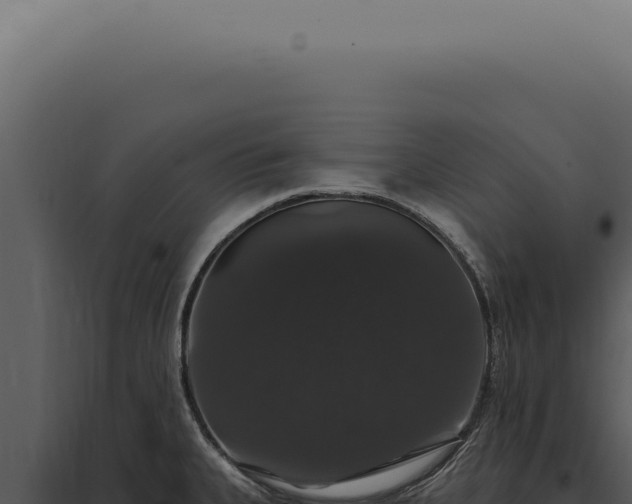 X0000097991335200804011759