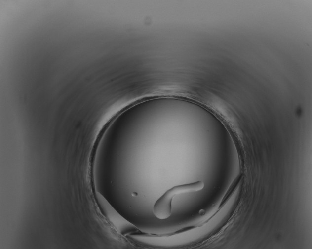 X0000097991336200804011759