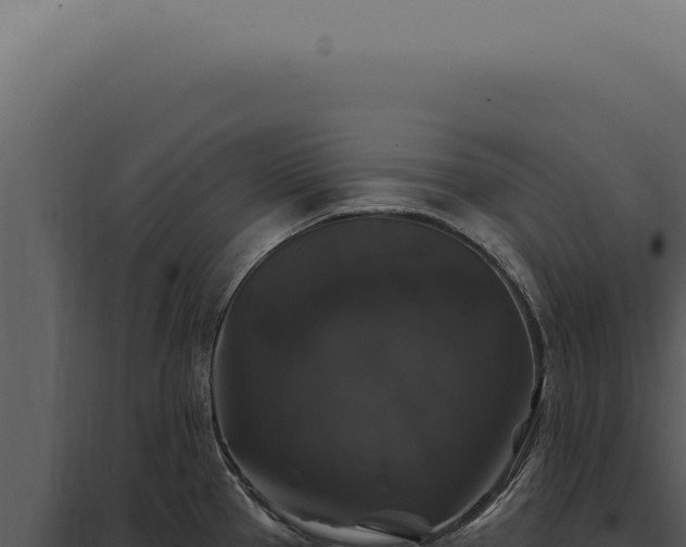 X0000097991337200804011759