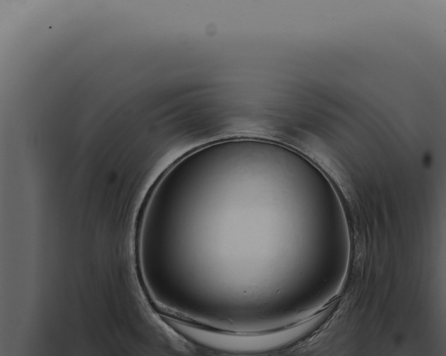 X0000097991339200804011759