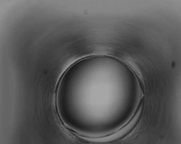 X0000097991340200804011800