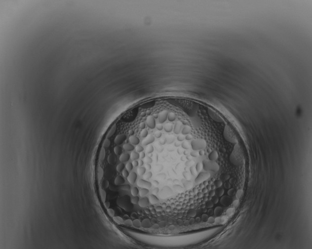 X0000097991341200804011800