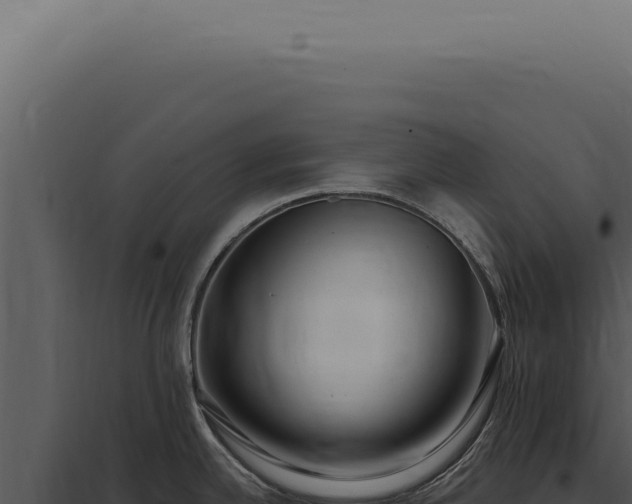 X0000097991342200804011800