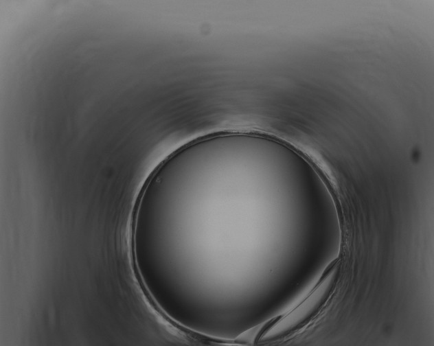 X0000097991343200804011800