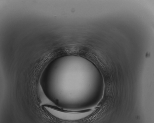 X0000097991345200804011759