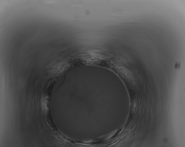 X0000097991346200804011759
