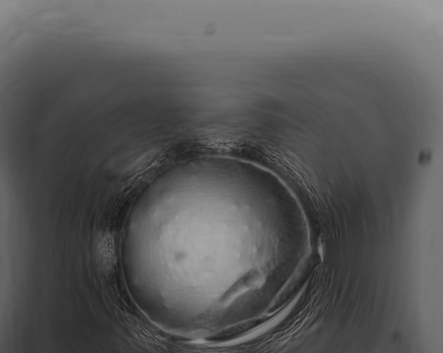 X0000097991347200804011759