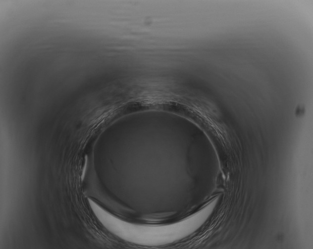 X0000097991348200804011759