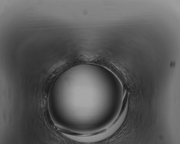 X0000097991349200804011759