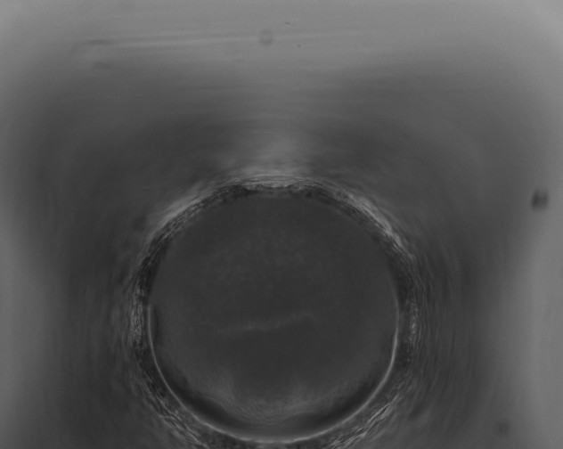 X0000097991350200804011759