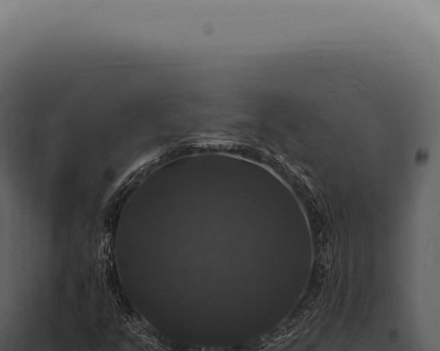 X0000097991351200804011759