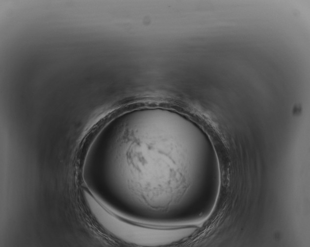 X0000097991352200804011759