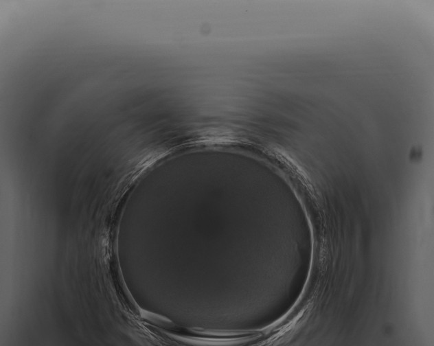 X0000097991353200804011759