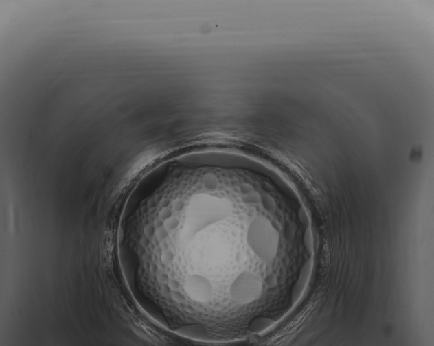 X0000097991355200804011759