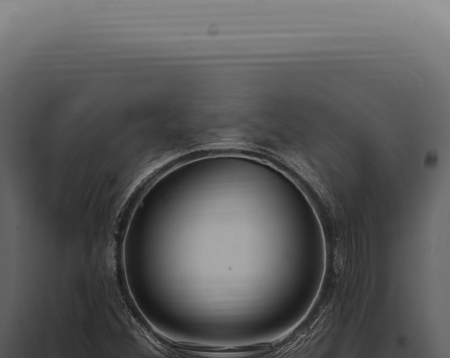 X0000097991356200804011759