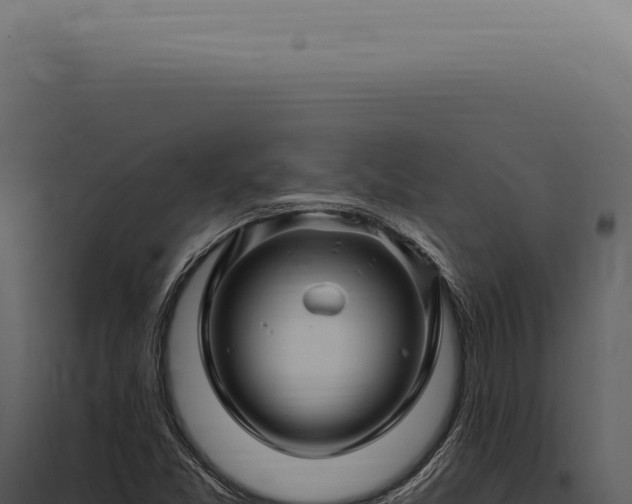 X0000097991357200804011759