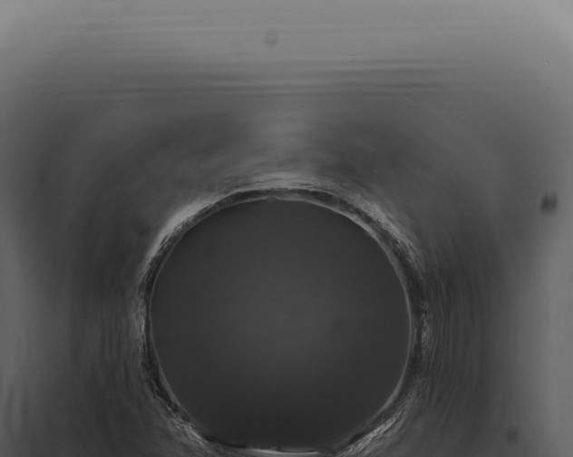 X0000097991358200804011759