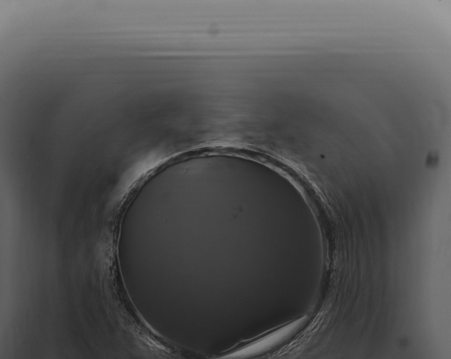 X0000097991359200804011759