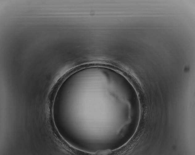 X0000097991360200804011759