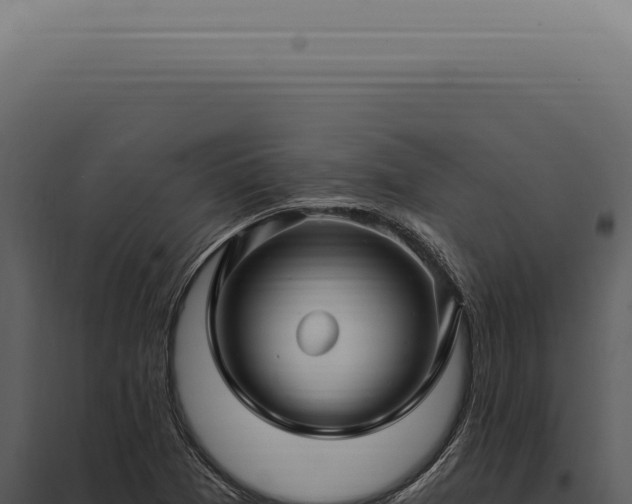 X0000097991361200804011759
