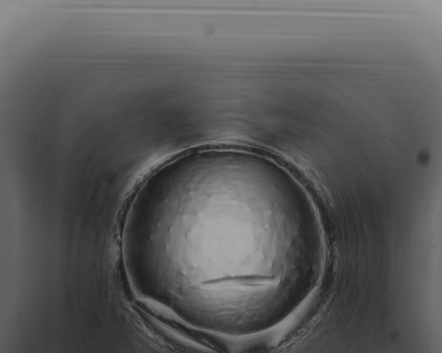 X0000097991363200804011759
