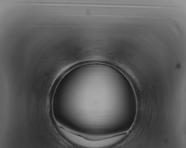 X0000097991364200804011759
