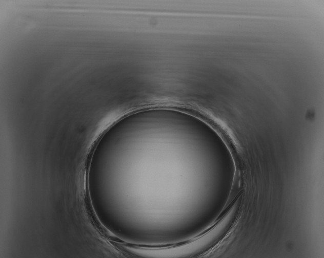 X0000097991365200804011759