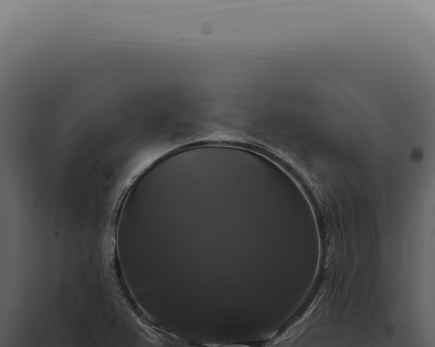 X0000097991367200804011758