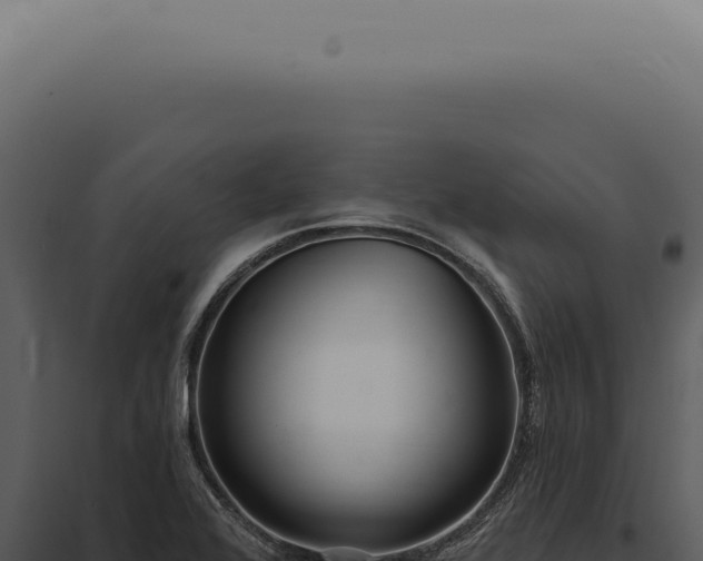 X0000097991368200804011758