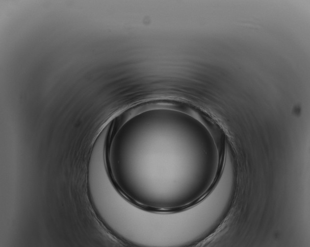 X0000097991369200804011758
