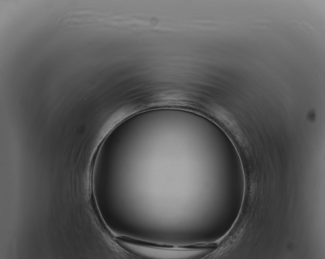 X0000097991370200804011758