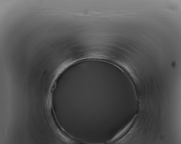 X0000097991371200804011758