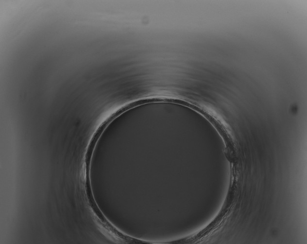 X0000097991372200804011758