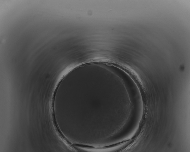 X0000097991373200804011758