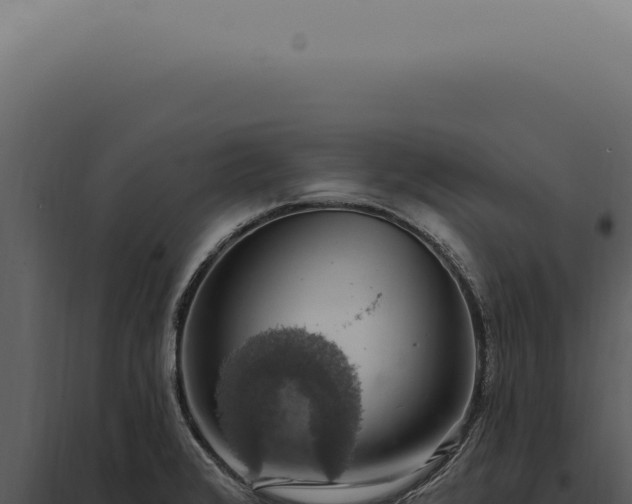 X0000097991376200804011758