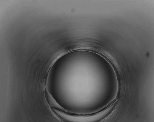 X0000097991377200804011758
