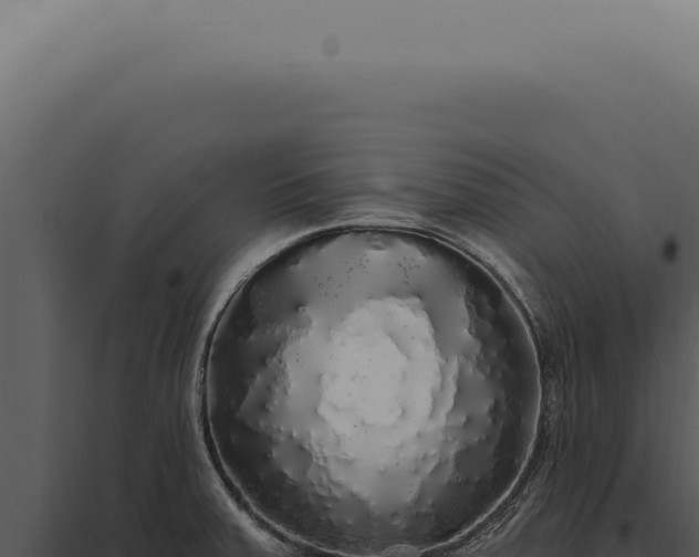 X0000097991379200804011758