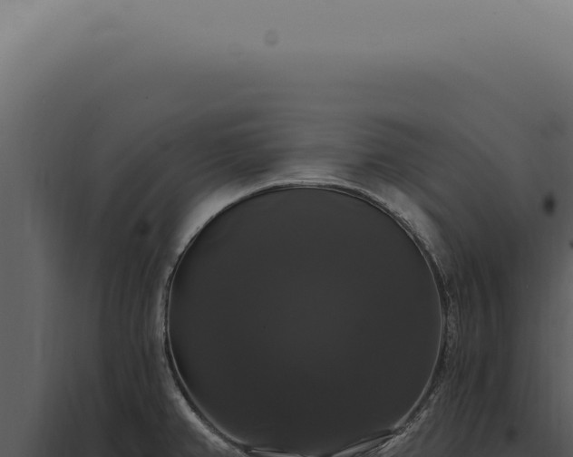 X0000097991382200804011758