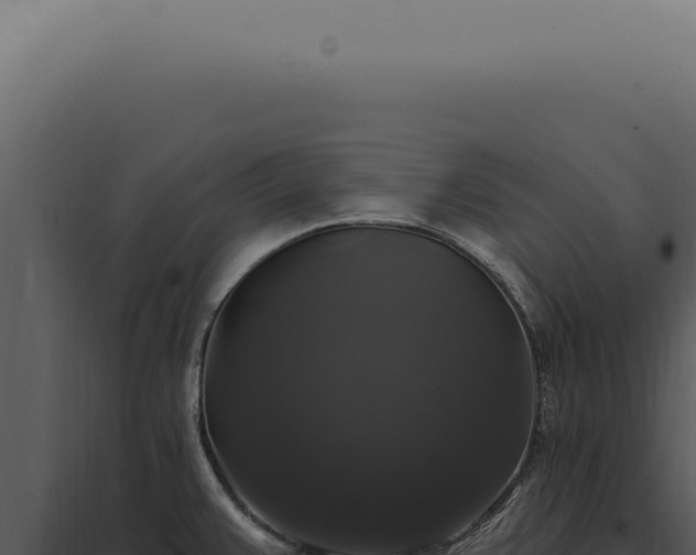 X0000097991383200804011758