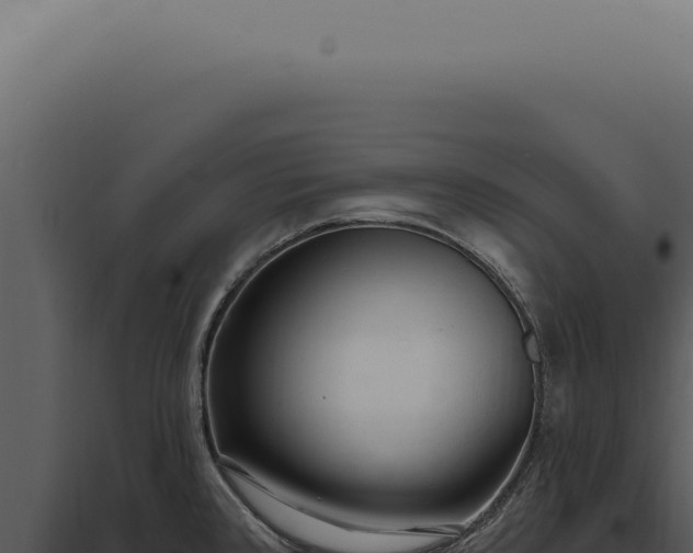 X0000097991384200804011758