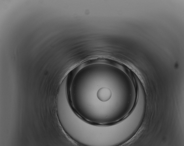 X0000097991385200804011758