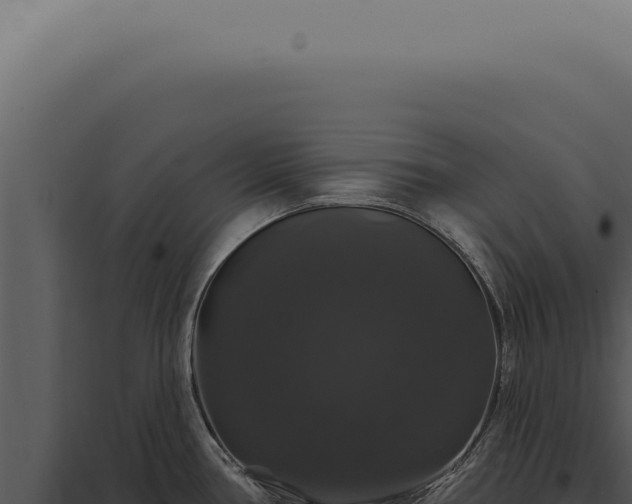 X0000097991386200804011758