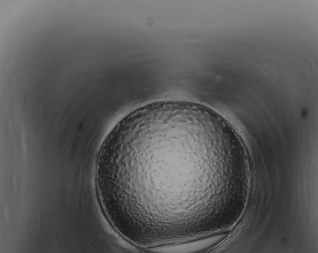 X0000097991390200804011758