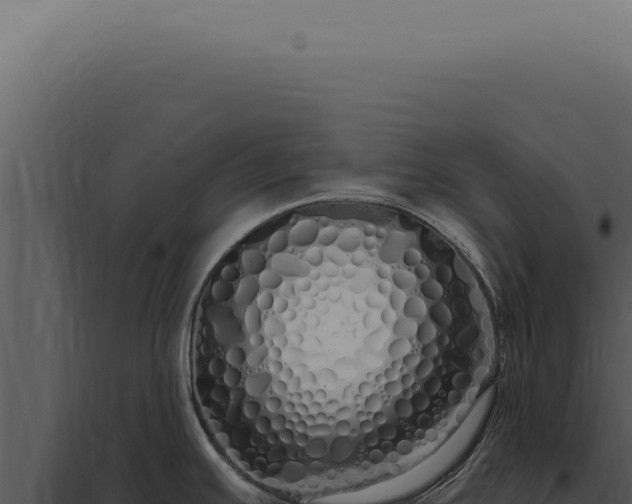 X0000097991391200804011758